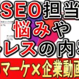 SEO担当者の悩みとストレスを調査データで酒井大輔となべっちが話す動画のサムネイル